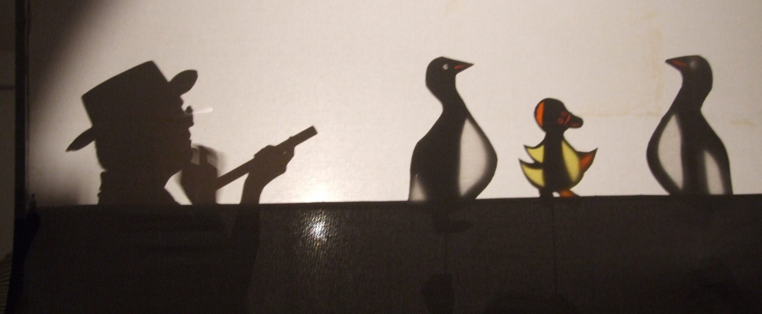 Elvio campione del teatro delle ombre